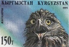 A Kyrgyz postage stamp from the 1995 Fauna of Kyrgyzstan series illustrated by A. Kongurbaev. The animal portrayed here is a very shocked-looking black kite. It represents author Sage because their wingspans are both around 150 cm.