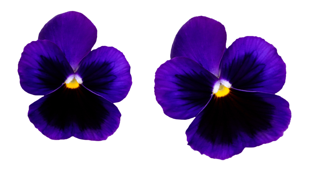 Ten Most Tenable: Top Albums of February&nbsp;2025