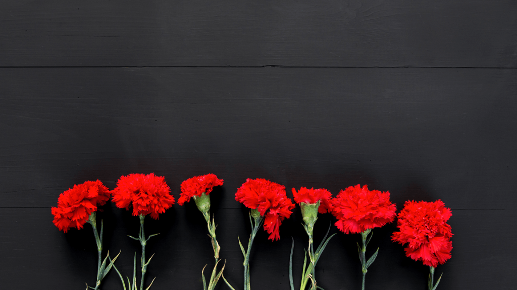 Ten Most Tenable: Top Albums of January&nbsp;2025