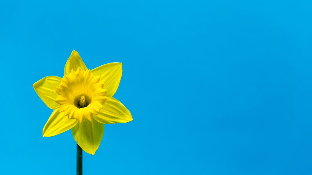 Ten Most Tenable: Top Albums of March&nbsp;2025