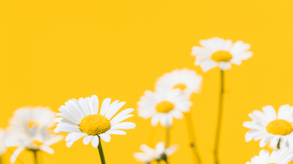 Ten Most Tenable: Top Albums of April&nbsp;2025